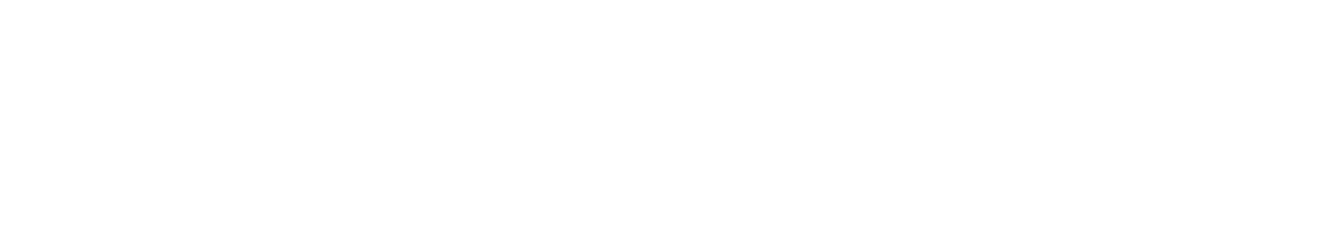 Singpass
